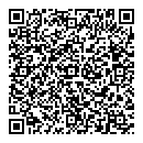 QR код "Paint force"