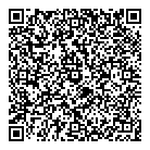 QR код "Мега планета"