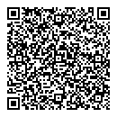 QR код "DVS"