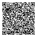 QR код "Лавина"