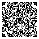 QR код "Вулкан"