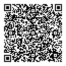 QR код "Disk Art"