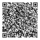 QR код "СССР"