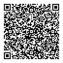 QR код "DSS"