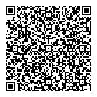 QR код "Disk36.ru"