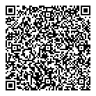 QR код "ДНС"
