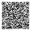 QR код "Eclipse"