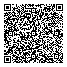 QR код "Спутник"