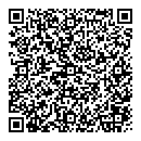 QR код "Twins"