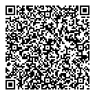 QR код "Blesk InCare"