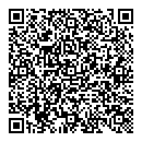 QR код "KONG"