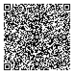 QR код "Метеор"