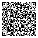 QR код "Галактика"