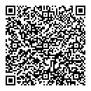 QR код "Бублик"