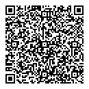 QR код "ШОК"