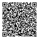 QR код "Домино"