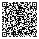 QR код "Dizzon"