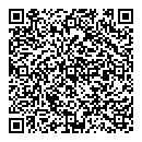QR код "DONGFENG"