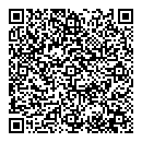 QR код "Шайба"
