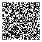 QR код "ДНС"