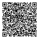 QR код "Qiwi"