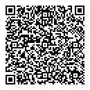 QR код "Flash"