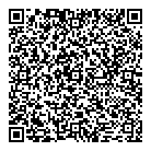 QR код "ДНС"