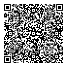 QR код "ДНС"