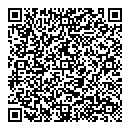 QR код "Lion"