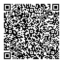 QR код "Rays"