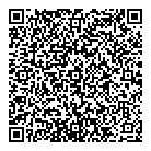 QR код "Домино"