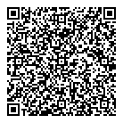 QR код "Спутник"