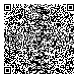 QR код "33 пингвина"