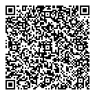 QR код "Black box"