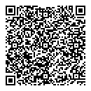 QR код "Dixion"