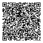 QR код "Глобус"