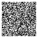 QR код "Голубые молнии"