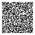 QR код "Ald washing"
