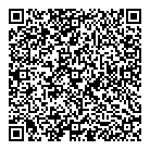 QR код "Мир"