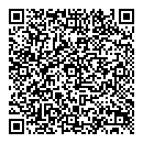 QR код "Dendi"