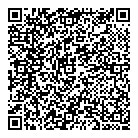 QR код "33 пингвина"