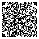 QR код "Vinilsochi"