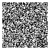 QR код "Олимпийский лед"