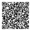 QR код "DNS"
