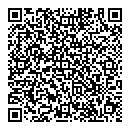 QR код "Мир"