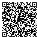 QR код "Галактика"