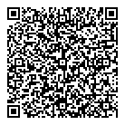 QR код "Laser Art"