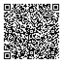 QR код "Ariel"