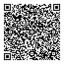 QR код "Алиса"