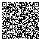 QR код "Silver Star"